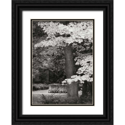 Fall Maple Fever XI BandW Black Ornate Wood Framed Art Print with Double Matting by Geyman, Vitaly