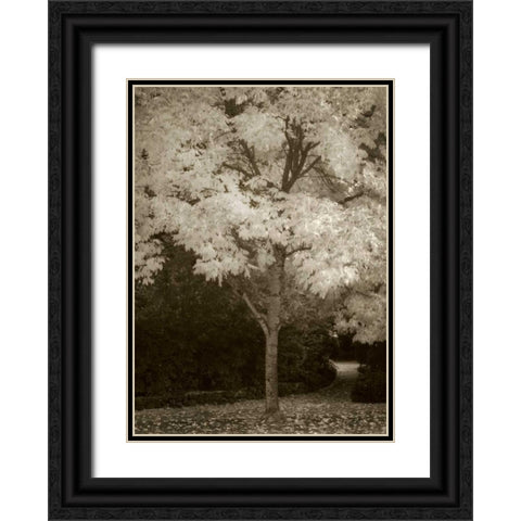 Fall Maple Fever VI Black Ornate Wood Framed Art Print with Double Matting by Geyman, Vitaly
