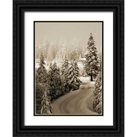 Mt. Ashland Rd II Black Ornate Wood Framed Art Print with Double Matting by Geyman, Vitaly