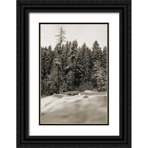 Snow Castle Black Ornate Wood Framed Art Print with Double Matting by Geyman, Vitaly