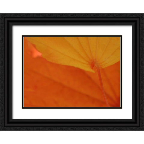 Leaf Romance IV Black Ornate Wood Framed Art Print with Double Matting by Geyman, Vitaly
