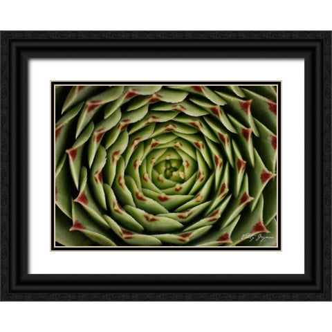 Floral Labyrinth I Color Black Ornate Wood Framed Art Print with Double Matting by Geyman, Vitaly