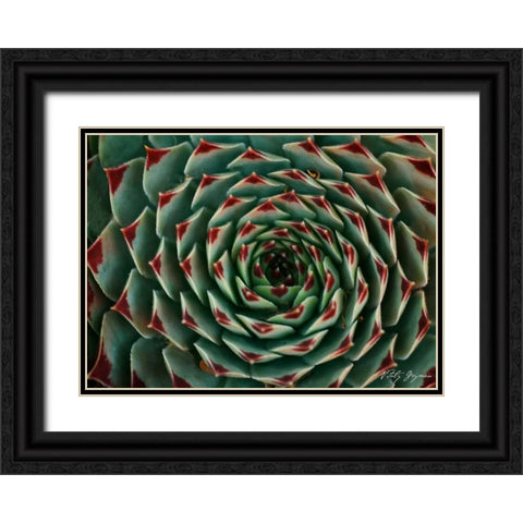 Floral Labyrinth II Color Black Ornate Wood Framed Art Print with Double Matting by Geyman, Vitaly