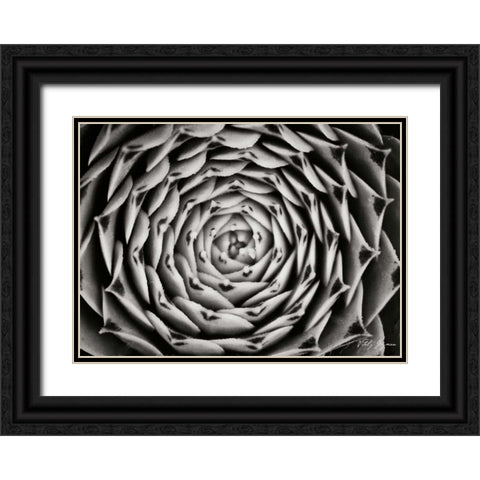 Floral Labyrinth I Black Ornate Wood Framed Art Print with Double Matting by Geyman, Vitaly