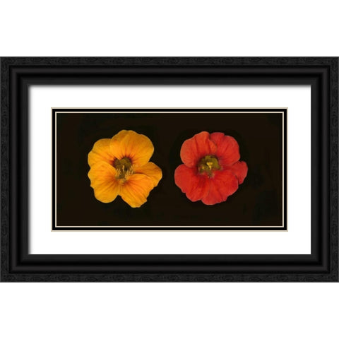 Nasturtiums Duet Black Ornate Wood Framed Art Print with Double Matting by Geyman, Vitaly