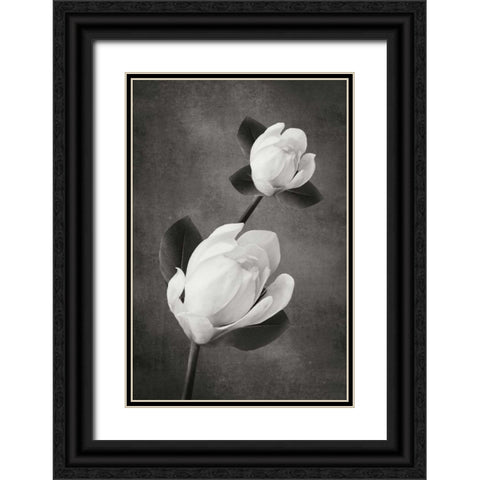 Tulip Tree Duet BandW Black Ornate Wood Framed Art Print with Double Matting by Geyman, Vitaly
