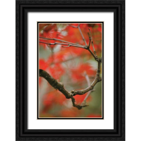 Autumn Tree Dance I Black Ornate Wood Framed Art Print with Double Matting by Geyman, Vitaly