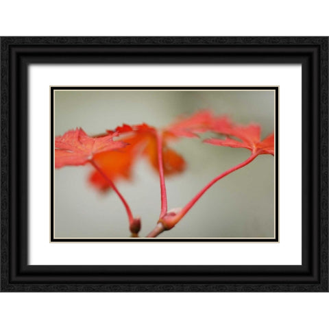 Maple In Style II Black Ornate Wood Framed Art Print with Double Matting by Geyman, Vitaly