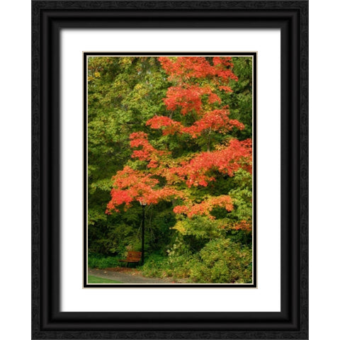 Fall Maple Fever VIII Black Ornate Wood Framed Art Print with Double Matting by Geyman, Vitaly