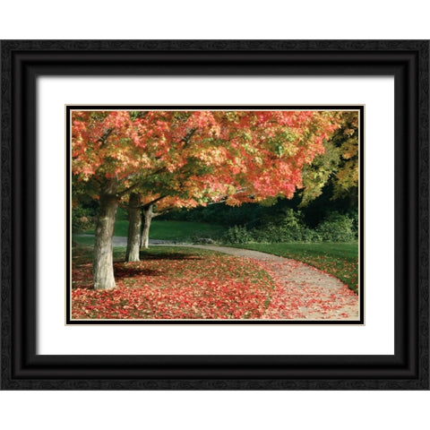 Fall Maple Fever IV Black Ornate Wood Framed Art Print with Double Matting by Geyman, Vitaly