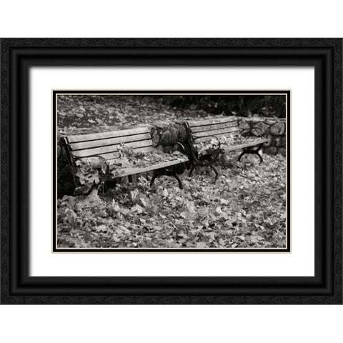 Autumn Paradise I BandW Black Ornate Wood Framed Art Print with Double Matting by Geyman, Vitaly