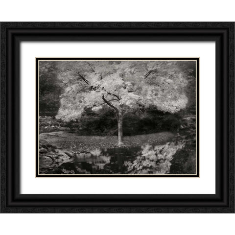 Autumn Reflections III BandW Black Ornate Wood Framed Art Print with Double Matting by Geyman, Vitaly