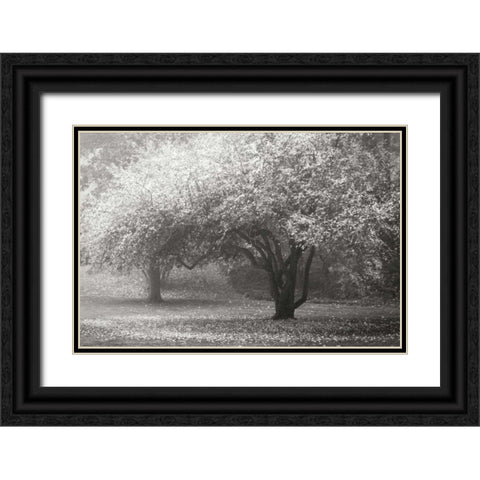 Autumn Japanese Maple BandW Black Ornate Wood Framed Art Print with Double Matting by Geyman, Vitaly