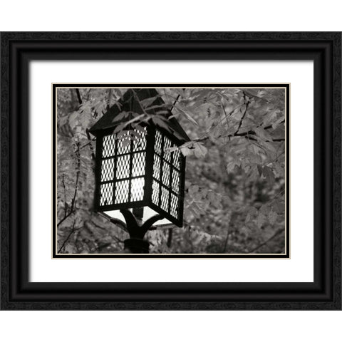 Fall Lighting I BandW Black Ornate Wood Framed Art Print with Double Matting by Geyman, Vitaly