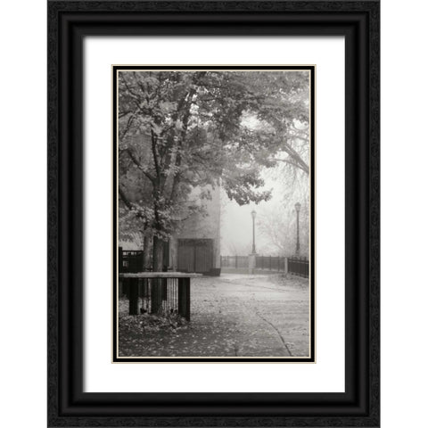 Fall Plaza IV BandW Black Ornate Wood Framed Art Print with Double Matting by Geyman, Vitaly