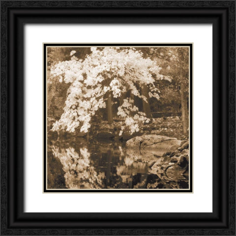 Autumn Reflections II Black Ornate Wood Framed Art Print with Double Matting by Geyman, Vitaly