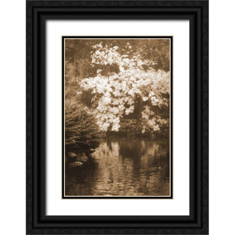 Autumn Reflections I Black Ornate Wood Framed Art Print with Double Matting by Geyman, Vitaly