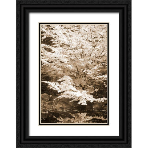 Fall Bouquet II Black Ornate Wood Framed Art Print with Double Matting by Geyman, Vitaly