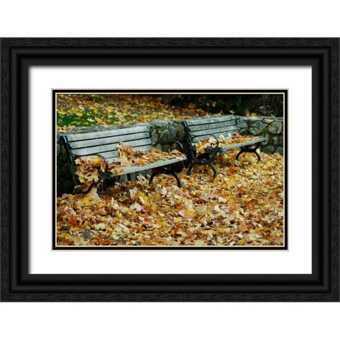 Autumn Paradise I Black Ornate Wood Framed Art Print with Double Matting by Geyman, Vitaly