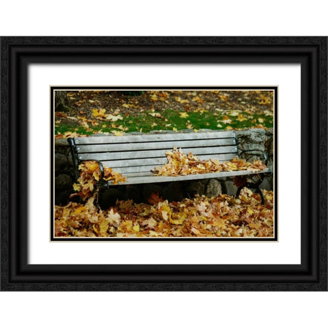 Autumn Paradise II Black Ornate Wood Framed Art Print with Double Matting by Geyman, Vitaly
