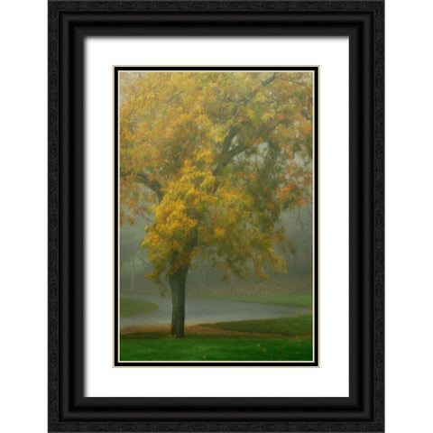 Colors in the Mist V Black Ornate Wood Framed Art Print with Double Matting by Geyman, Vitaly