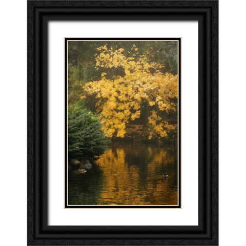 Autumn Reflections I Black Ornate Wood Framed Art Print with Double Matting by Geyman, Vitaly