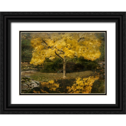 Autumn Reflections III Black Ornate Wood Framed Art Print with Double Matting by Geyman, Vitaly