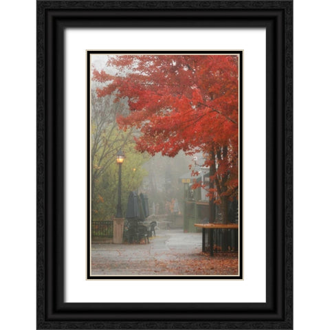Fall Plaza III Black Ornate Wood Framed Art Print with Double Matting by Geyman, Vitaly