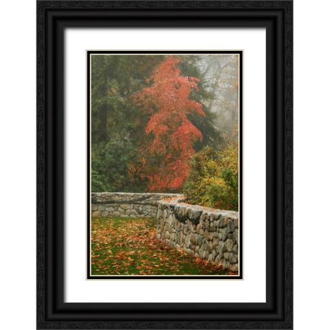 Fence Mosaic I Black Ornate Wood Framed Art Print with Double Matting by Geyman, Vitaly
