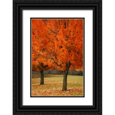 Splash of Color I Black Ornate Wood Framed Art Print with Double Matting by Geyman, Vitaly