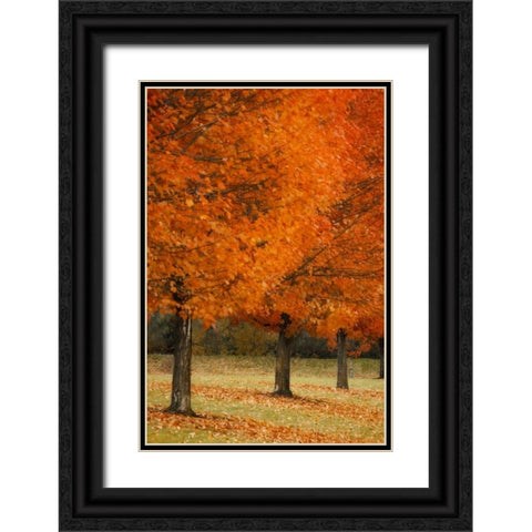Splash of Color II Black Ornate Wood Framed Art Print with Double Matting by Geyman, Vitaly