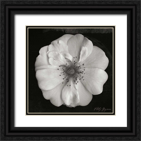 Classic Beauty Square Black Ornate Wood Framed Art Print with Double Matting by Geyman, Vitaly