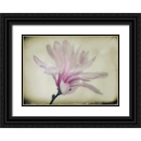 Floral Dreams I Black Ornate Wood Framed Art Print with Double Matting by Geyman, Vitaly