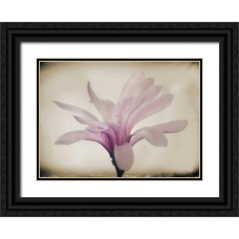 Floral Dreams II Black Ornate Wood Framed Art Print with Double Matting by Geyman, Vitaly
