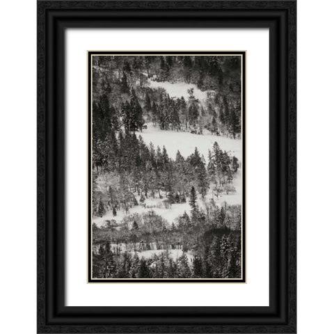 Winter Mosaic I Black Ornate Wood Framed Art Print with Double Matting by Geyman, Vitaly