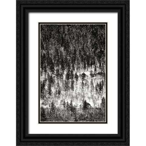 Winter Mosaic II Black Ornate Wood Framed Art Print with Double Matting by Geyman, Vitaly