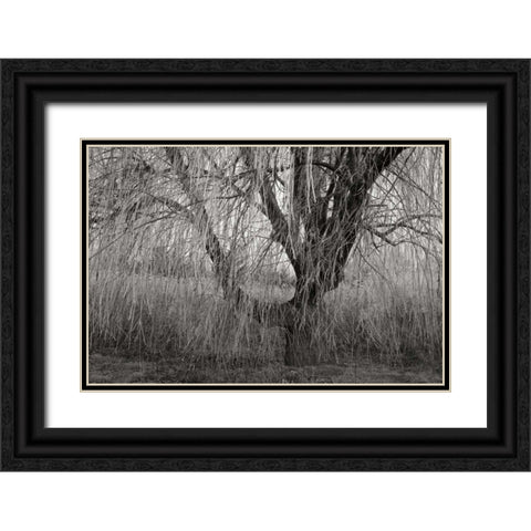 Winters Palace V BandW Black Ornate Wood Framed Art Print with Double Matting by Geyman, Vitaly
