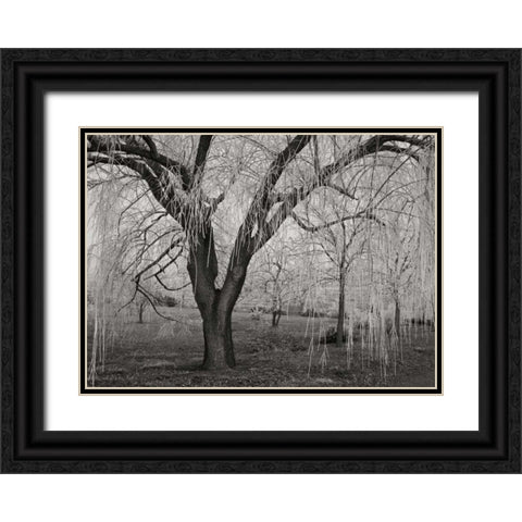 Winters Palace VI BandW Black Ornate Wood Framed Art Print with Double Matting by Geyman, Vitaly