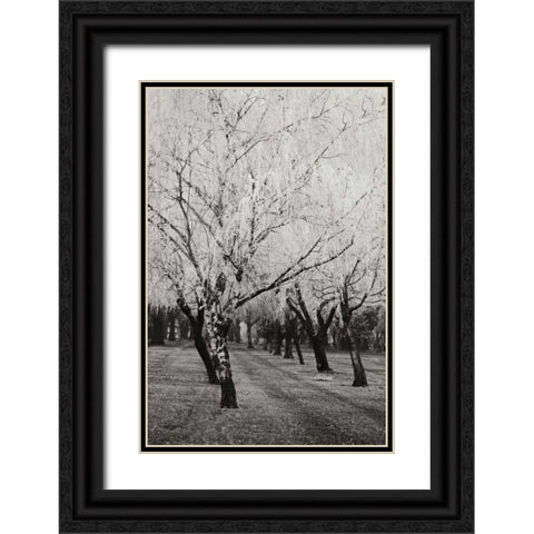 Winters Palace VIII BandW Black Ornate Wood Framed Art Print with Double Matting by Geyman, Vitaly