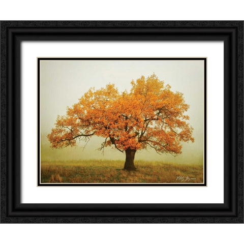 Misty V Black Ornate Wood Framed Art Print with Double Matting by Geyman, Vitaly