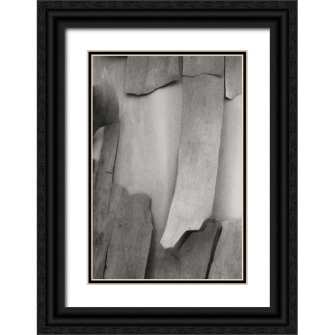 Madrone Mosaic I Black Ornate Wood Framed Art Print with Double Matting by Geyman, Vitaly