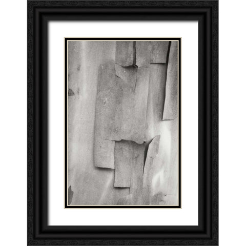 Madrone Mosaic II Black Ornate Wood Framed Art Print with Double Matting by Geyman, Vitaly