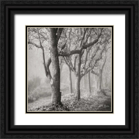 Tree in the Mist Sq Black Ornate Wood Framed Art Print with Double Matting by Vitaly, Geyman