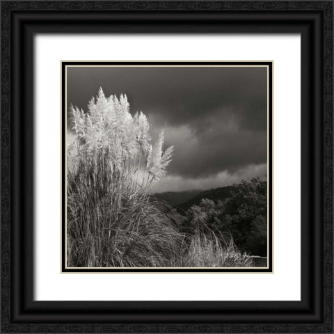 White Towers III BW Black Ornate Wood Framed Art Print with Double Matting by Vitaly, Geyman