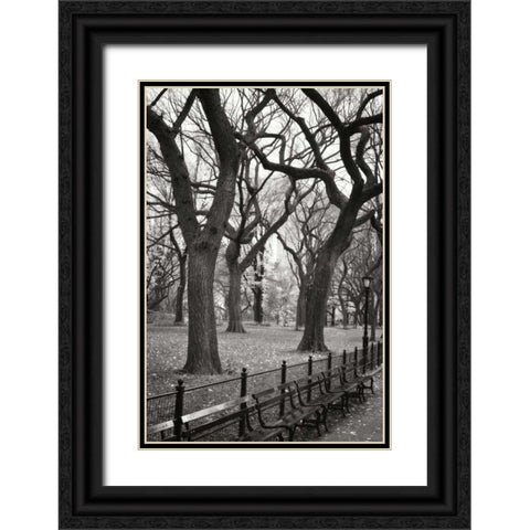 Central Park Dancers I Black Ornate Wood Framed Art Print with Double Matting by Vitaly, Geyman