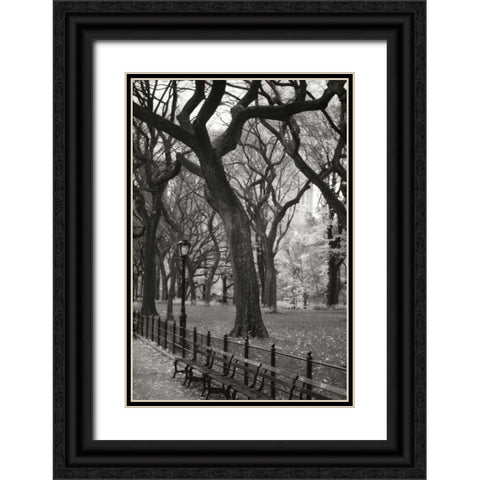 Central Park Dancers II Black Ornate Wood Framed Art Print with Double Matting by Vitaly, Geyman
