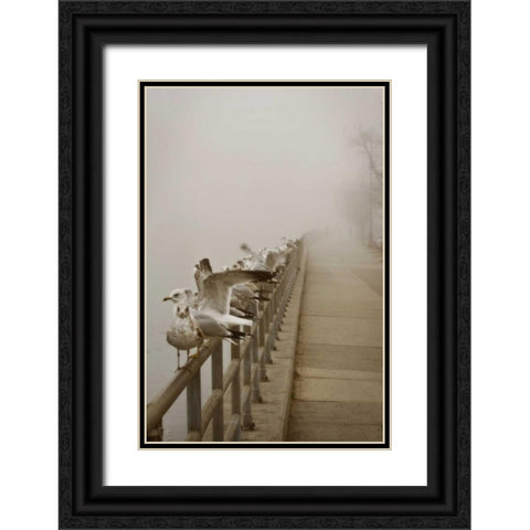 Seagul Paradise II Black Ornate Wood Framed Art Print with Double Matting by Vitaly, Geyman