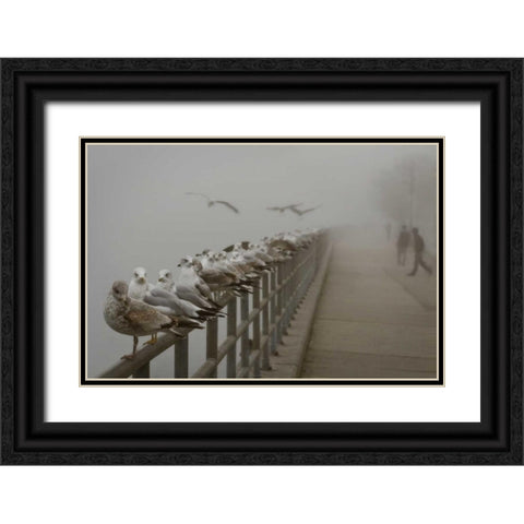 Seagul Paradise III Black Ornate Wood Framed Art Print with Double Matting by Vitaly, Geyman