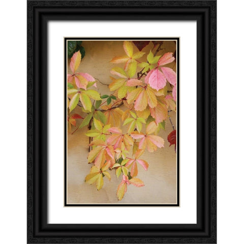 Vine Leaf Romance II Black Ornate Wood Framed Art Print with Double Matting by Vitaly, Geyman