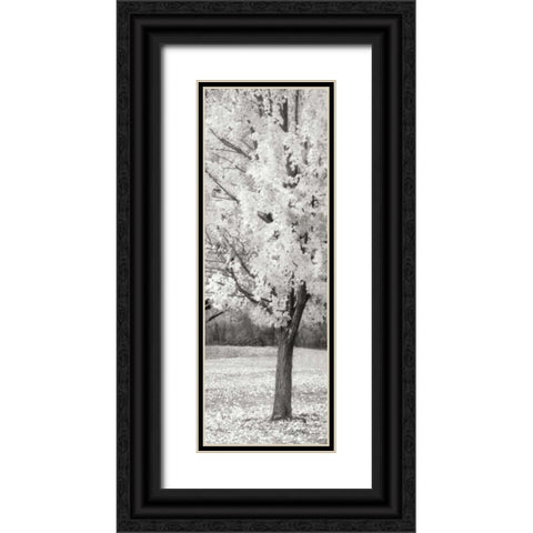 Splash of Color III BW Black Ornate Wood Framed Art Print with Double Matting by Geyman, Vitaly